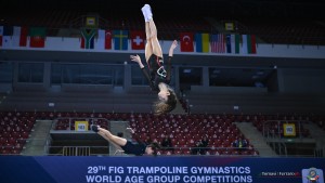 wch sofia trampoline dmt tumb 2022 02497 